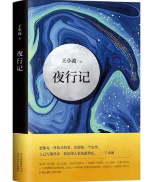《夜行记》—王小波